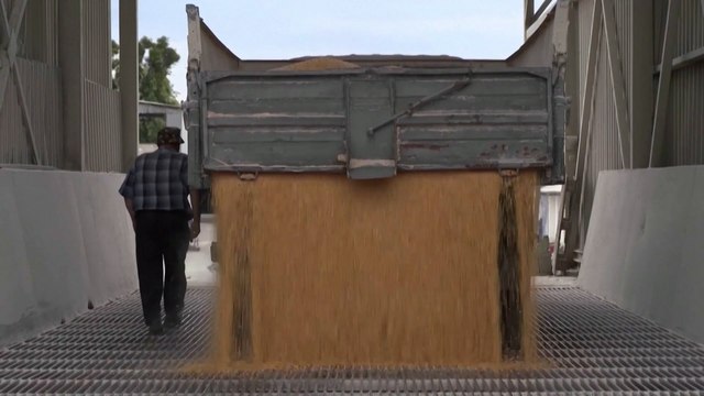 Deal reached to end Russia’s blockade of Ukraine grain exports and ease global food crisis