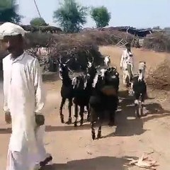 انسي همومك واضحك و روق علي نفسك