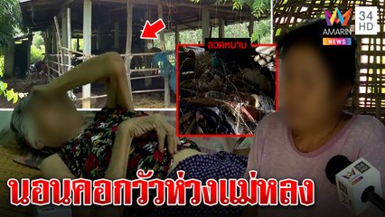 สยบดราม่า! ลูกขังแม่ในคอกวัวที่แท้ป่วยอัลไซเมอร์ ห่วงเผาบ้านล้อมรั้วกันเดินหลง|ทุบโต๊ะข่าว|13/07/65