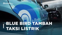 Blue Bird Tambah Investasi Rp 32,5 miliar Untuk Taksi Listrik | Katadata Indonesia
