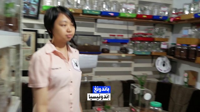 !هل تخاف من العناكب؟ إذن هذا الفيديو ليس لك