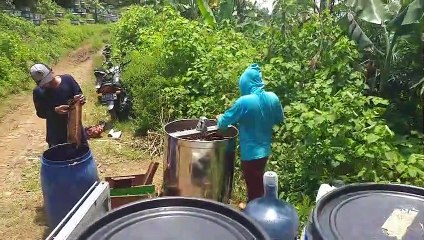 PROSES PANEN MADU HUTAN