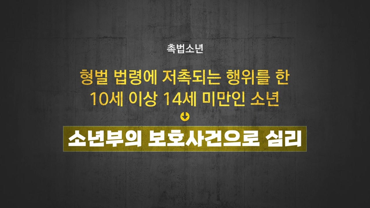 '촉법소년' 연령 하향 찬반 논란..."강력범죄 처벌" vs "처벌이 능사?" / YTN