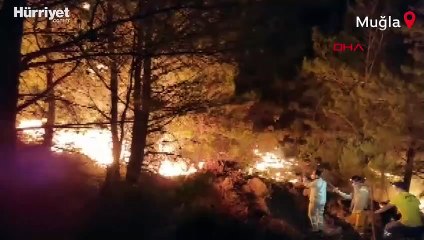 Datça yangınında ikinci gün... Alevlerle mücadele sürüyor.