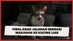Viral Anak Jalanan Berbagi Makanan ke Kucing Liar, Sukses Bikin Hati Publik Terenyuh