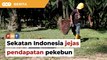 Jatuh ditimpa tangga, sekatan Indonesia jejas pendapatan pekebun, kata persatuan