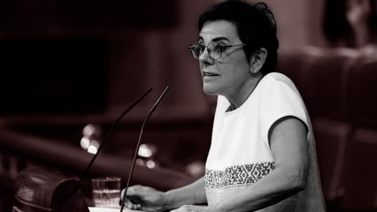 El mensaje de Aizpurua (EH Bildu) a las víctimas de ETA: "Sentimos su sufrimiento y nos comprometemos a mitigarlo"