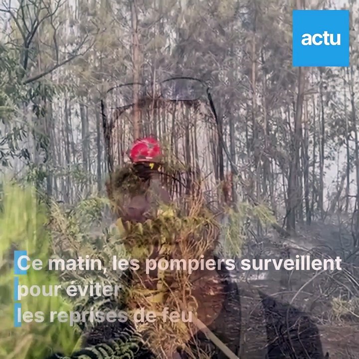 Incendie en Gironde : 36 heures après le début du feu à Landiras, les flammes ont détruit 2100 ha