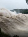 Gujarat Rain Updates: 138 routes closed in the state due to heavy rains | ABP News