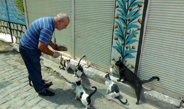Bayram tatiline çıkan esnaf kepenk kapatınca sokak hayvanlarının yardımına o koştu