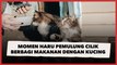 Momen Haru Pemulung Cilik Tetap Berbagi Makanan dengan Kucing Liar Banjir Pujian