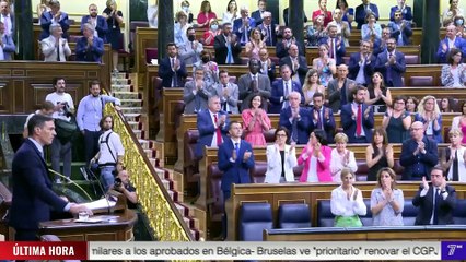 7NN Noticias - 13 de julio