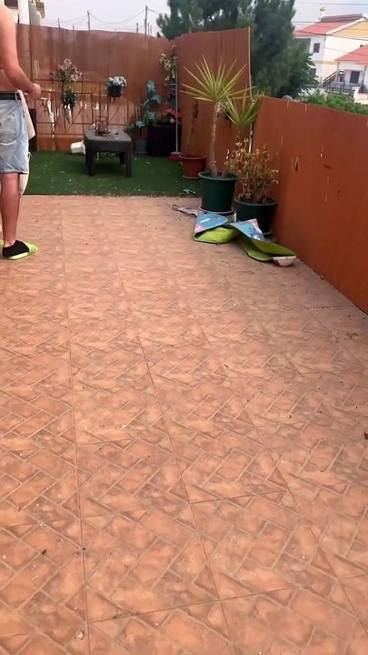 Ruth Marlene passa por aflição com incêndio perto da sua casa: "Que Deus nos ajude"