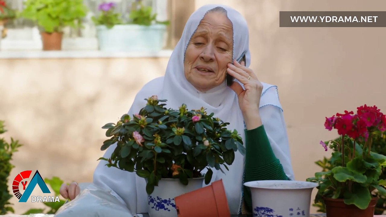 درامای بەڵێن ئەڵقەی 321