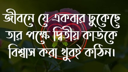 Life changing modivational Quotes bangla // বেইমানদের নিয়ে কিছু কথা // Ismail