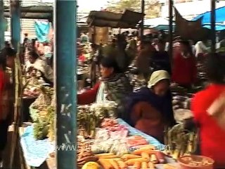 Freshwater fish varieties on sale in Nagaland!