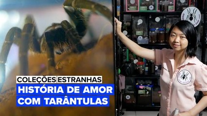 Você tem aracnofobia? Então, este vídeo não é para você!