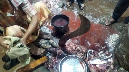 Fast Fish Cutting Skill in fish marketing