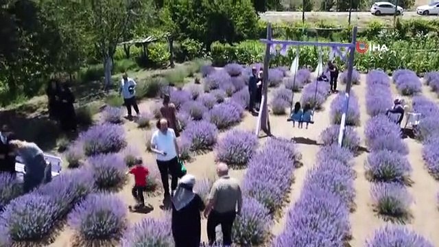 Yozgat'ta lavanta bahçesi doğal stüdyo alanına döndü