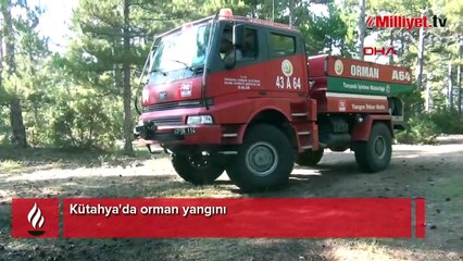 Kütahya'da orman yangını