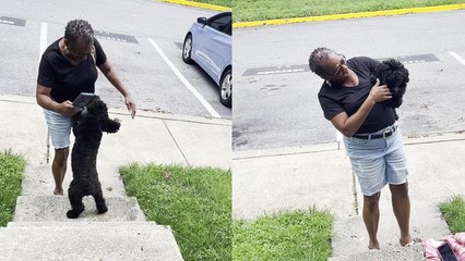 Adorable puppys excitement knows no bounds as she reunites with her favorite hooman after 3 months