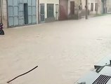 SriGanganagar शहर में बाढ़ जैसे हालात, सड़कों पर घुटनों तक पानी
