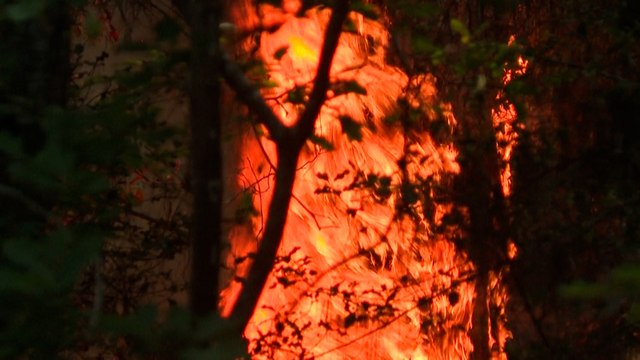 «Il y a beaucoup de points sensibles à défendre »: les pompiers face au feu qui ravage la Gironde