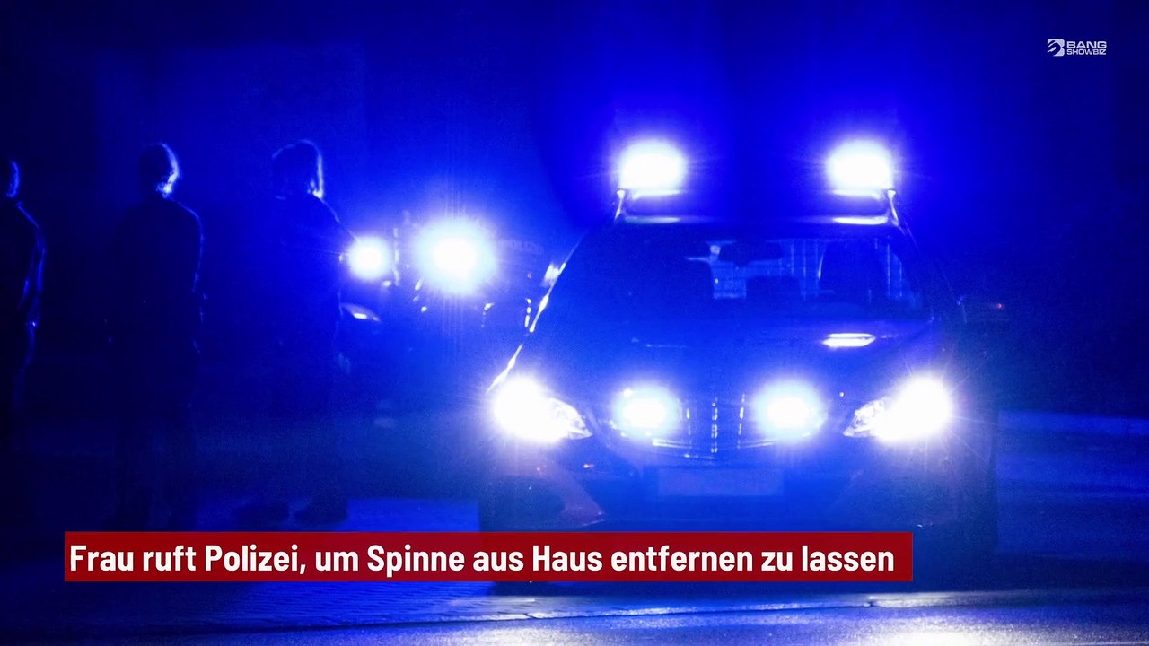 Frau ruft Polizei, um Spinne aus Haus entfernen zu lassen