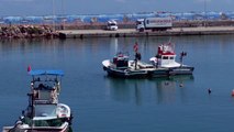 Batı Karadenizli balıkçılar yeni sezonda palamuttan umutlu