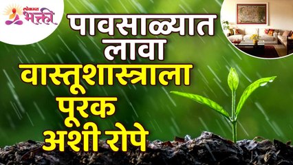 पावसाळ्यात वास्तूलाशास्त्राला पूरक अशी कोणती रोपे लावावीत? Vastushastra tips for home | Monsoon 2022