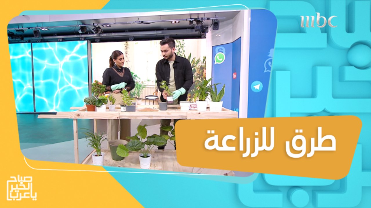 طرق للزراعة داخل المنزل بأسلوب بسيط