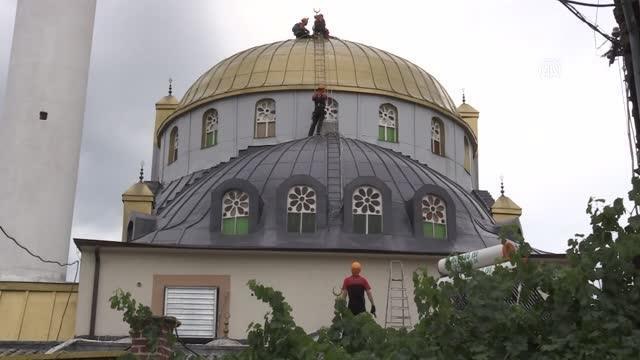 Cami kubbesindeki yuvadan düşen leylek yavruları kurtarıldı