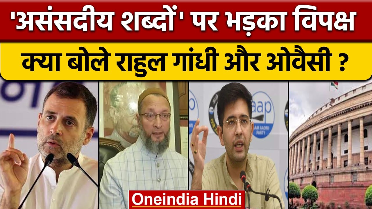 Unparliamentary Words: Rahul Gandhi, Owaisi, Raghav Chadha ने कैसे कसा तंज? | वनइंडिया हिंदी |*News