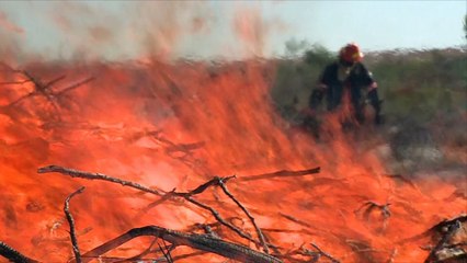 Feux de forêt: six gestes à adopter pour éviter les incendies