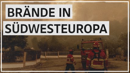 Extreme Hitze in Südwesteuropa zerstört Wälder