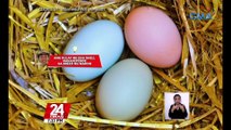 #KuyaKimAnoNa?: Lumabas sa isang pag-aaral na mas nauna ang mga itlog kaysa sa manok; nakadepende ang kulay ng egg shell at egg yolk sa breed ng manok | 24 Oras