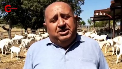 Çanakkaleli besici Erdoğan'a seslendi: 'Haksız kazancın önüne geçecektiniz. Böyle mi geçeceksiniz?'