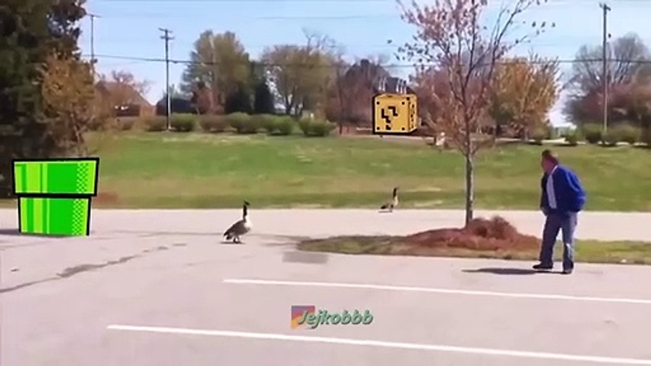 UNUSUAL MEMES COMPILATION V52
