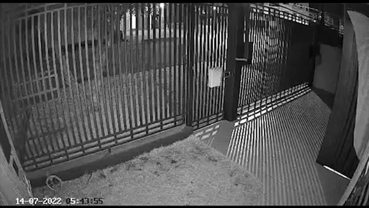 Imagens mostram momento em que homem sofre mal súbito no Coqueiral