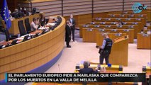 El Parlamento Europeo pide a Marlaska que comparezca por los muertos en la valla de Melilla