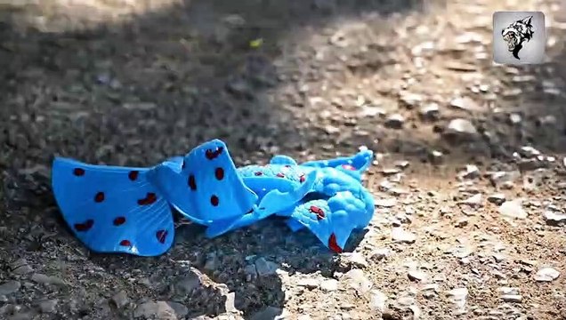 EXPERIMENT Car vs ICE CREAM Crushing Crunchy & Soft Things by Car #1