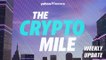 The Crypto Mile Weekly Update: Celsius files for bankruptcy, Vitalik defends PoS on Twitter, and is Shiba Inu founder behind crypto enigma?