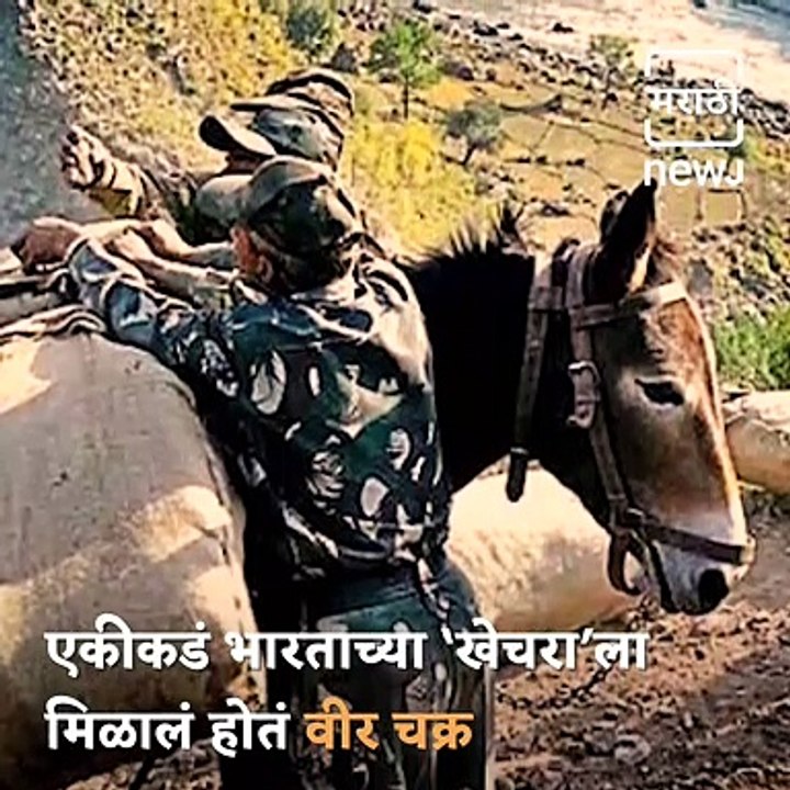 Did You Know That An Indian Mule Got A Gallantry Award In The 1971 War?