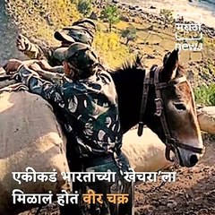 Did You Know That An Indian Mule Got A Gallantry Award In The 1971 War?