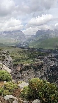 Gypaète barbu au-dessus du canyon d'Anisclo