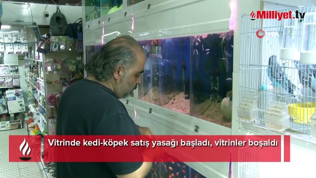 Vitrinde kedi-köpek satış yasağı başladı, vitrinler boşaldı