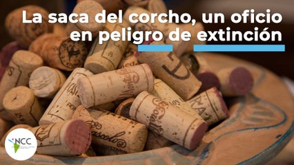 La saca del corcho, un oficio en peligro de extinción | 464 | 18 al 24 de julio 2022
