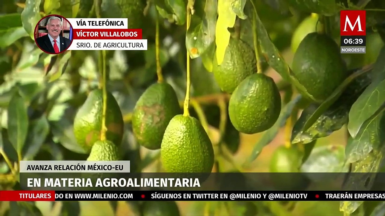 Avanza relación México - EU en materia agroalimentaria