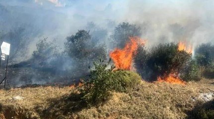 Maltepe'de otluk alanda yangın