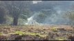 Bombeiros combatem incêndio em vegetação no Universitário